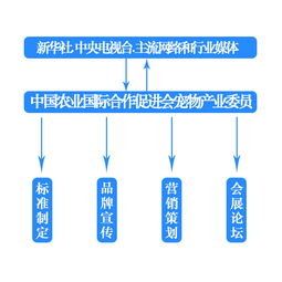 中宠委员会2019年工作重点