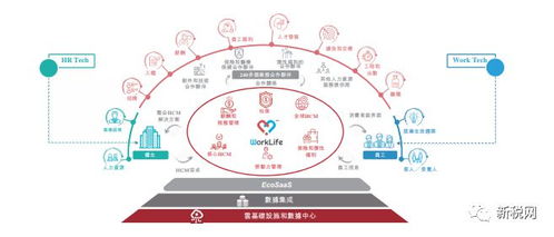 中国最大hcm saas 服务商要上市了